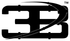 3B Inspection